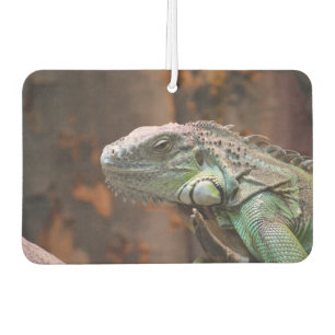 Car Air Fresheners with awesome Iguana lizard