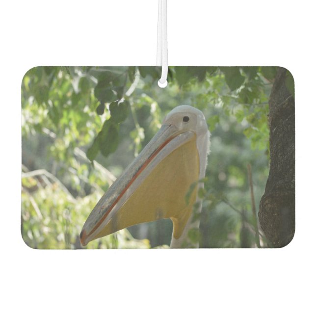 Car Air Fresheners with beautiful curious pelican (Front)