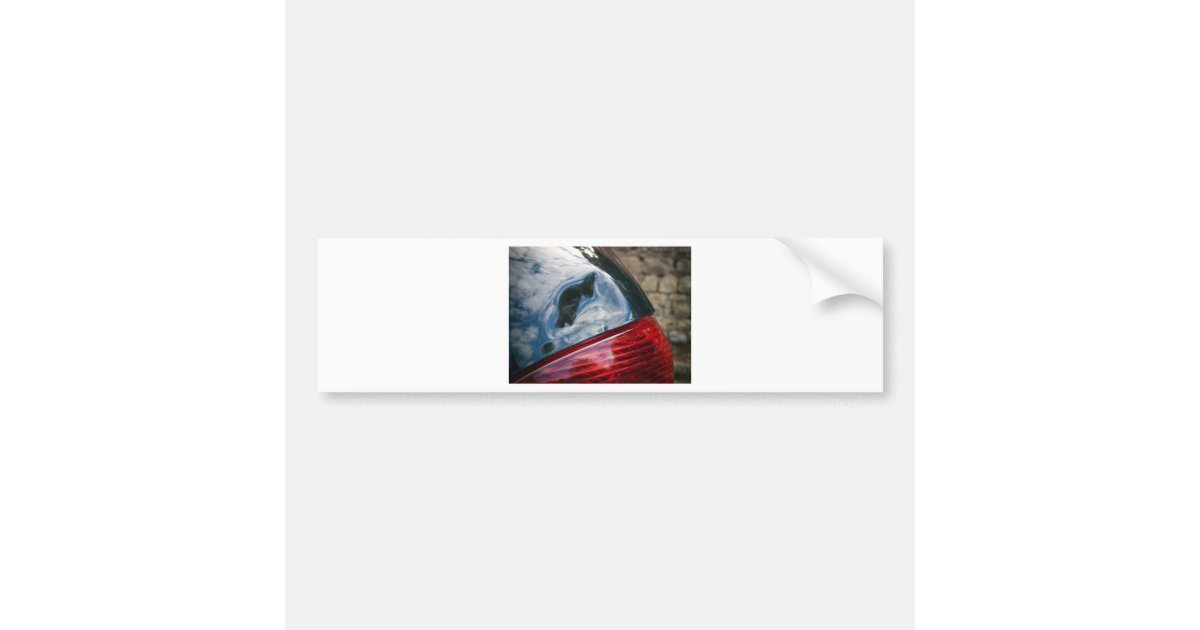Car damage bumper sticker Zazzle