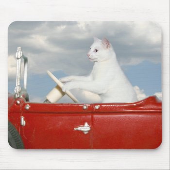 Car Driving Cat Mouse Pad by deemac1 at Zazzle