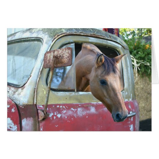 Car driving horse cards (Front Horizontal)
