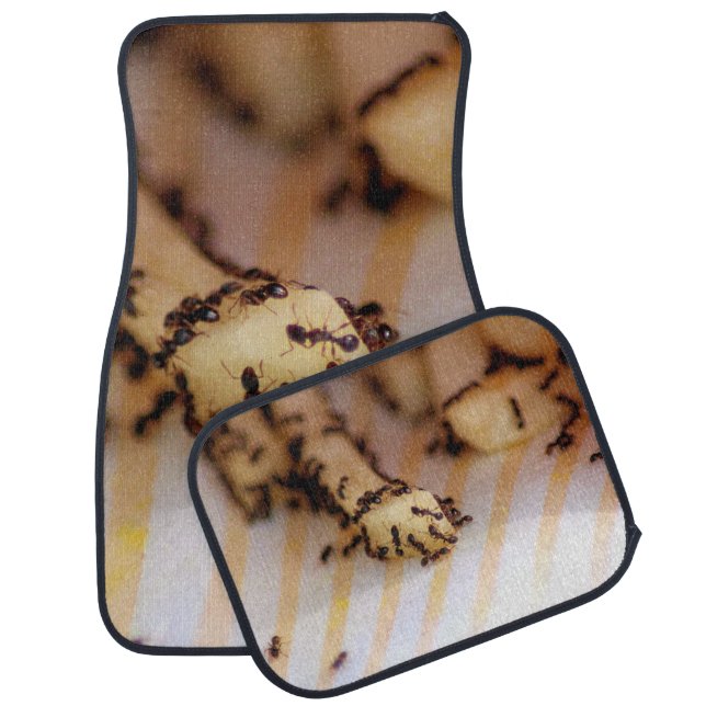 Car Floor Mat Set of 4 Whimsical Fries & Ants (Set)