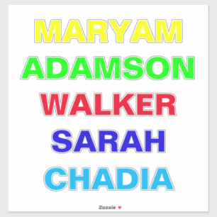 Car Front & Back Glass Name Stickers for Cars