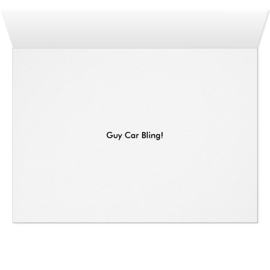 Car Guy Bling, Vintage Hubcaps (Inside Horizontal (Bottom))