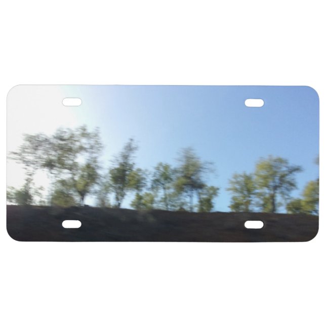 CAR LICENSE PLATE ART&DESIGN STYLE  (Front)