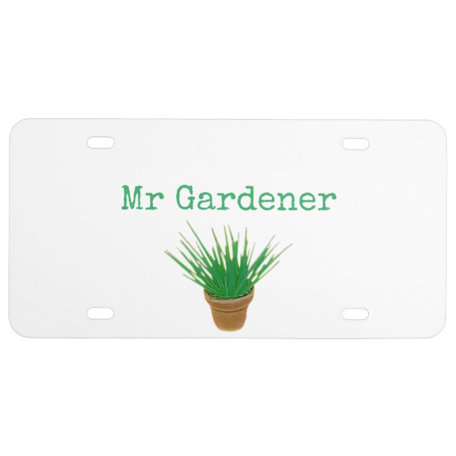 CAR LICENSE PLATE ART&DESIGN STYLE  (Front)