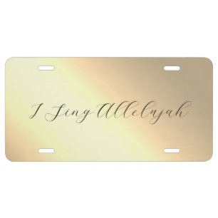 CAR LICENSE PLATE ART&DESIGN STYLES