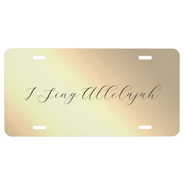 CAR LICENSE PLATE ART&DESIGN STYLES (Front)