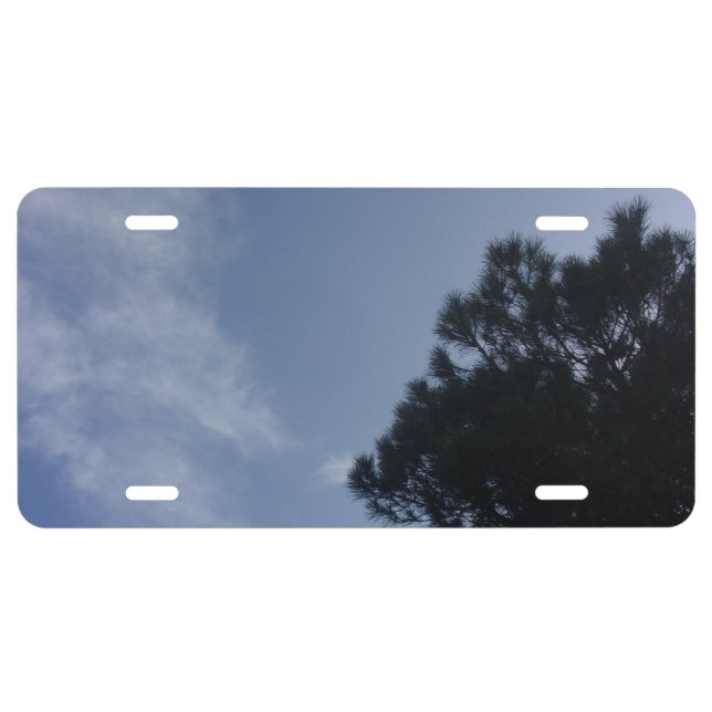 Car License Plate cool eco style design (Front)