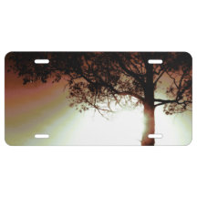 CAR LICENSE PLATE COOL ECO STYLE DESIGN