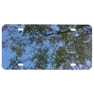 CAR License Plate ECO PHOTOGRAPH DESIGN