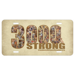 Car License Vanity Plate - 3000 Strong