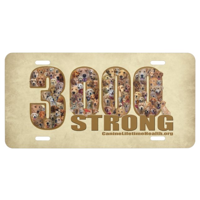 Car License Vanity Plate - 3000 Strong (Front)