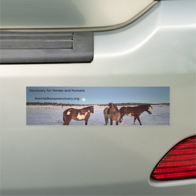 Car Magnet (In Situ)