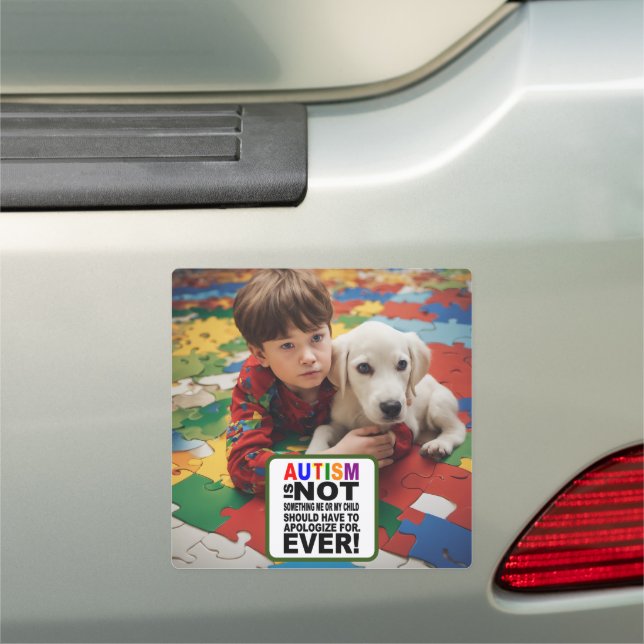 Car Magnet (In Situ)