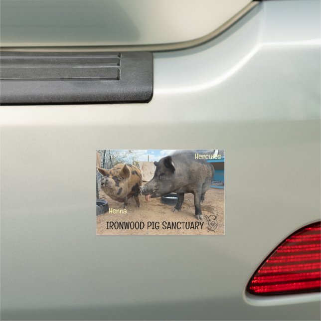 Car Magnet (In Situ)