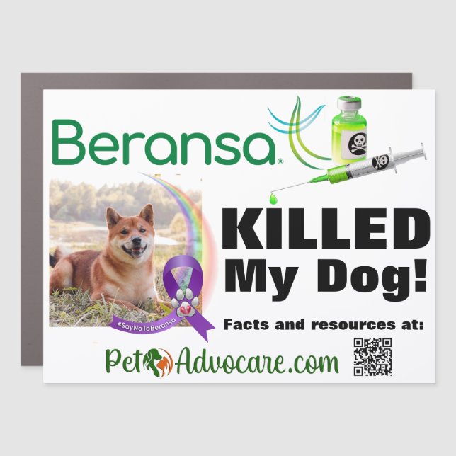 Car magnet: 18" x 24" customizable magnet (Front)