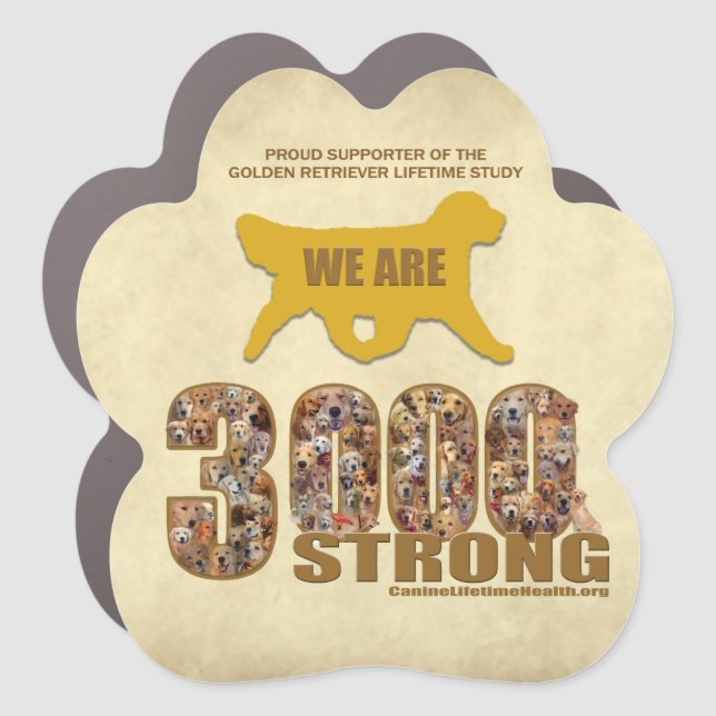 Car Magnet - 3000 strong (Front)