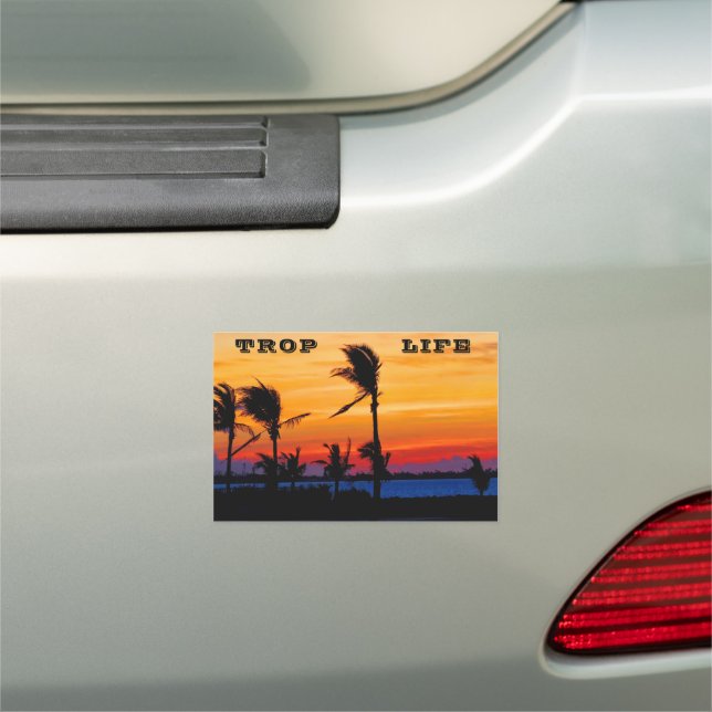 Car Magnet Florida Sunrise (In Situ)