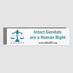 Car Magnet-Intact Genitals Rectangle Magnet