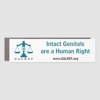 Car Magnet-Intact Genitals Rectangle Magnet