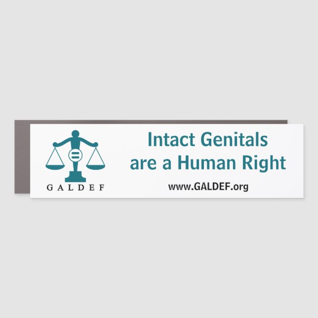 Car Magnet-Intact Genitals Rectangle Magnet (Front)