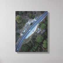 car on road in forest