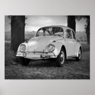 Car Poster