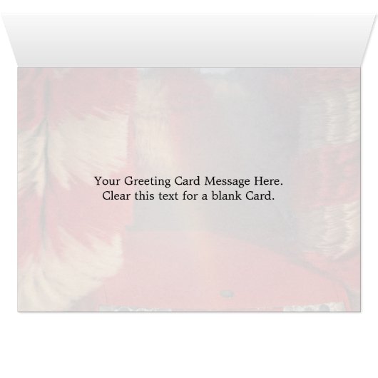 Car wash (Inside Horizontal (Bottom))