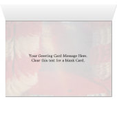 Car wash cards (Inside Horizontal (Bottom))