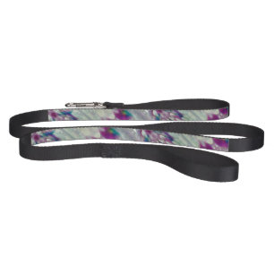 Car Wash Colors Pet Leash
