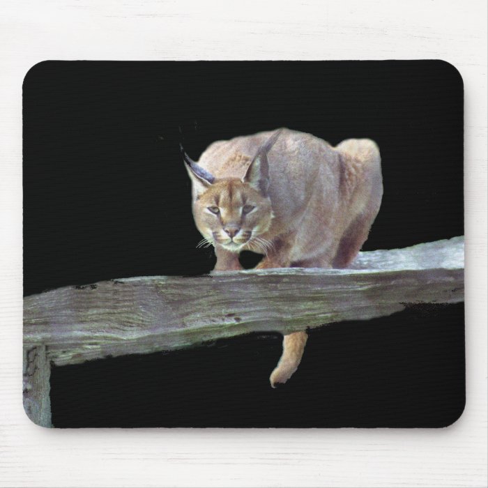 Caracal Cat Crouching Mousepad