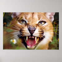 Big Floppa My Beloved Caracal Meme | Art Board Print