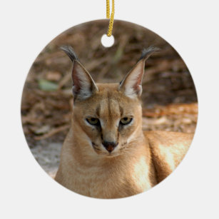 Caracal Lynx Christmas Ornament