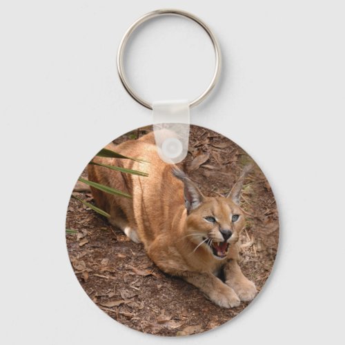 Caracal Lynx Keychain