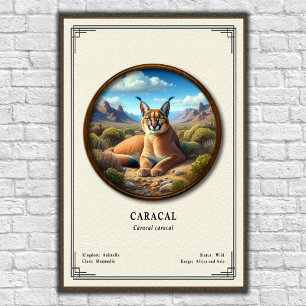 Caracal Zoology Series Poster