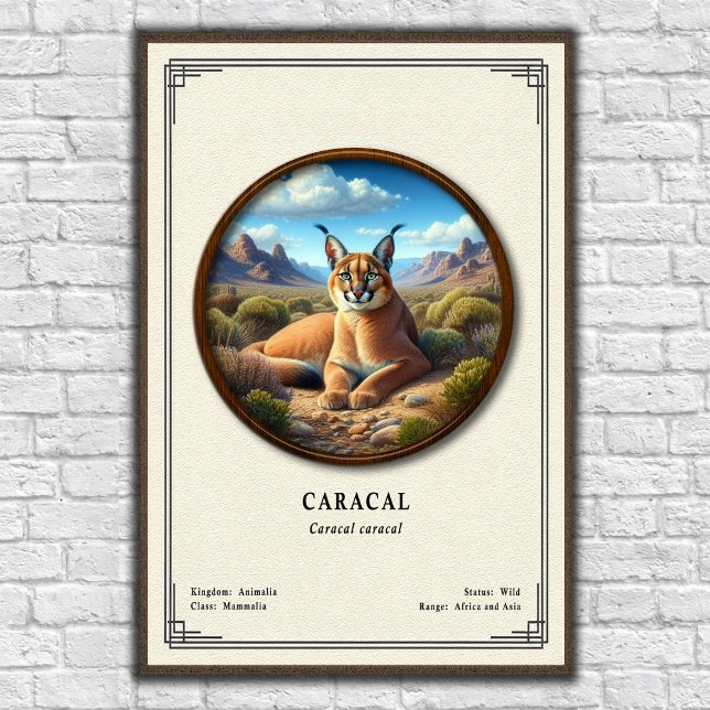 Caracal Zoology Series Poster (Creator Uploaded)