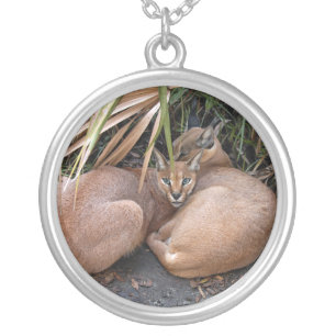 CaracalBCR006 Silver Plated Necklace