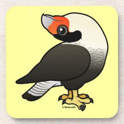 Caracara Display Beverage Coaster