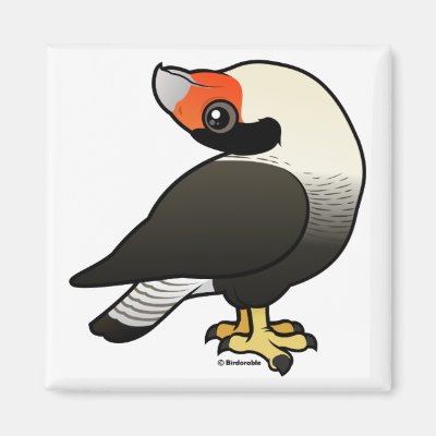 Caracara Display Magnet