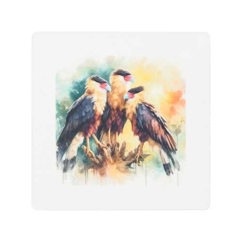 Caracaras interaction in natural habitat 020624ARE Metal Print