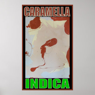 CARAMELLA INDICA POSTER