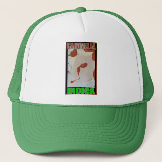 CARAMELLA INDICA TRUCKER HAT