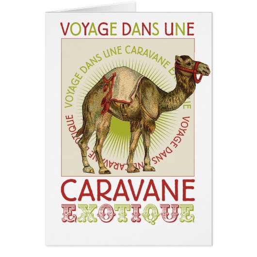 Caravan Camel Cards (Front)
