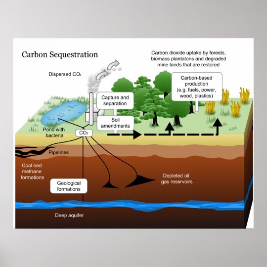 Carbon Dioxide Sequestration from Coal Power Plant Poster Zazzle