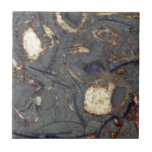 Carbonate Rock With Fossils Ceramic Tile at Zazzle