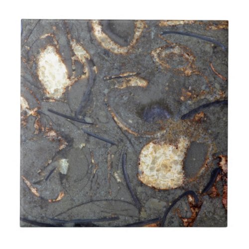 Carbonate rock with fossils ceramic tile