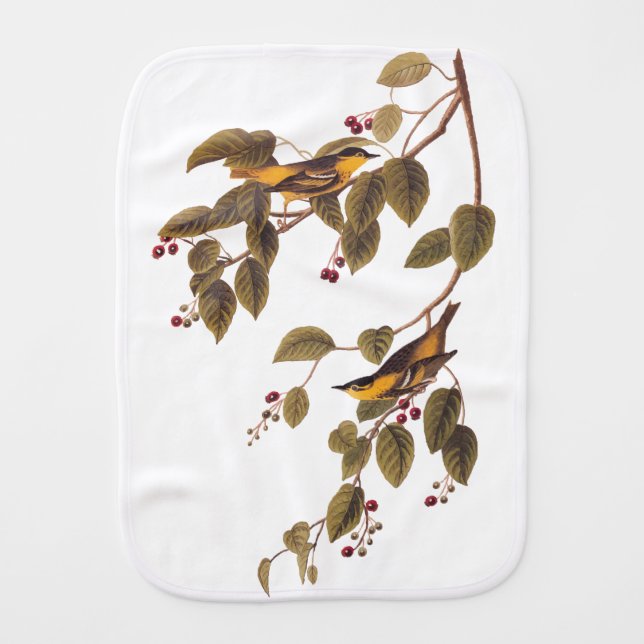 Carbonated Warbler Audubon Bird Baby Burp Cloth (Front)