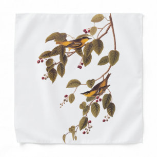 Carbonated Warbler Audubon Bird Bandana