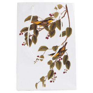 Carbonated Warbler Audubon Bird Medium Gift Bag
